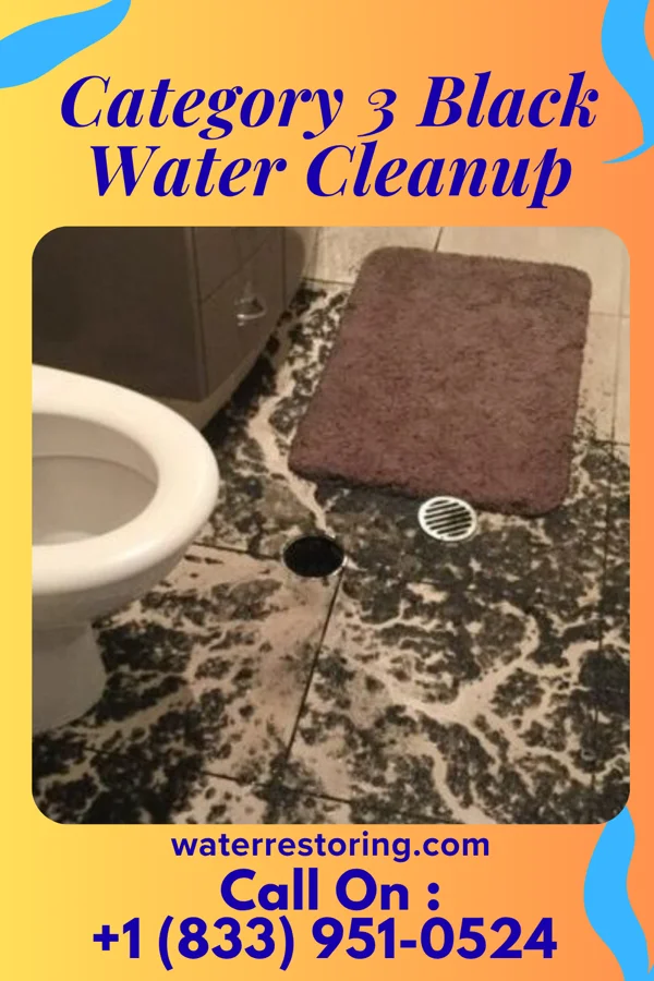 Category 3 Black Water Cleanup in Carroll, IA
